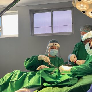 6518AAAA-01EB-4E10-A065-B3870B71AEF0