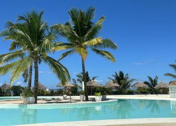 WhatsApp Image 2024-05-19 at 20.42.41 (1)